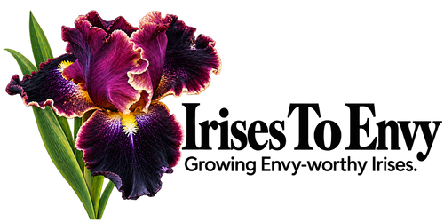 Irises To Envy